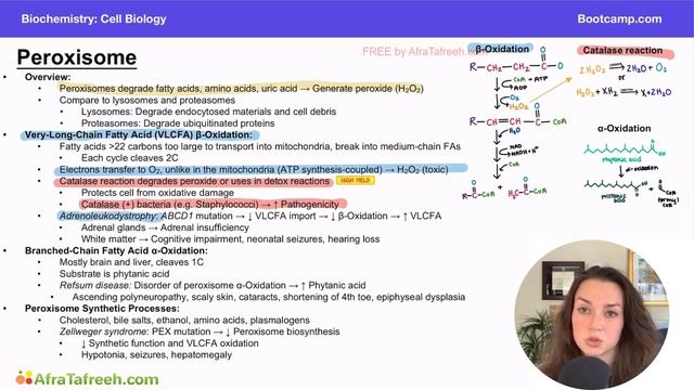 Peroxisome atf