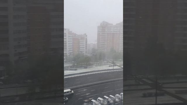 08.05.2024-зима вернулась в Москву #яипапа