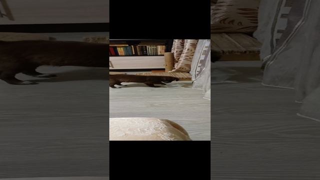 1000002763.mp4