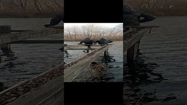 1000017370.mp4