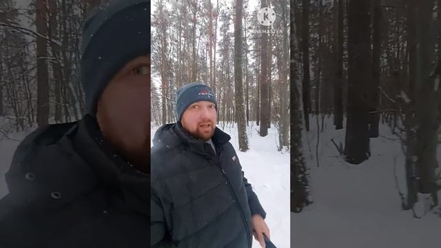 Чудесная погодка у нас сегодня +1 словно в сказке/Прогулка перед новым годом по зимнему лесу