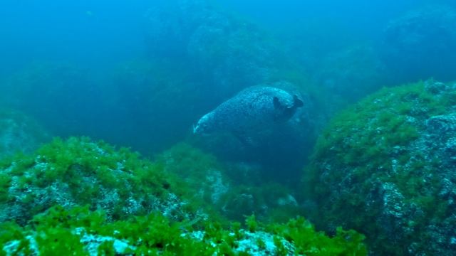 Монерон. История, которую создаём мы сами
