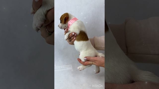 Девочка с сердечком рыжим на груди🧡