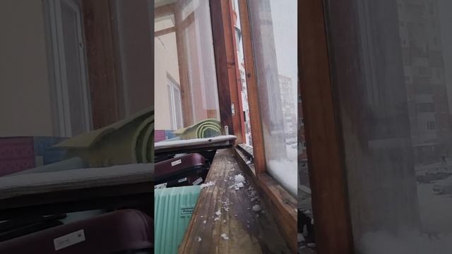 снег