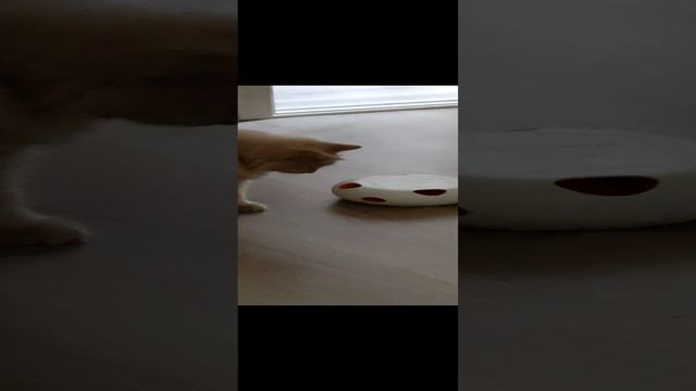 VID_20241227_185159