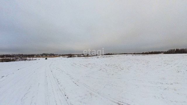 1872438 Калинка