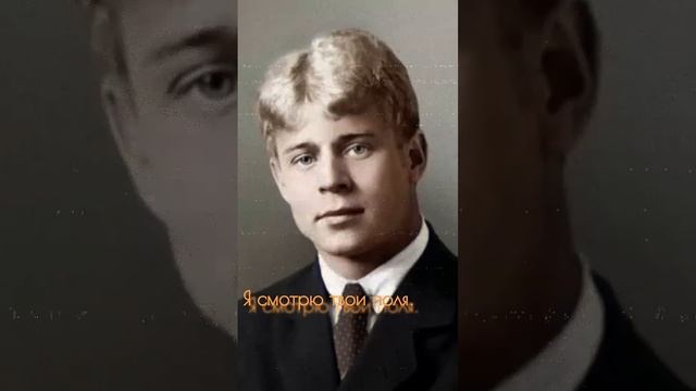 ЕСЕНИН С.А.-ГОЙ ТЫ, РУСЬ, МОЯ РОДНАЯ...Ч.1♡https://t.me/animadom #стихи #поэзия #люди #литература