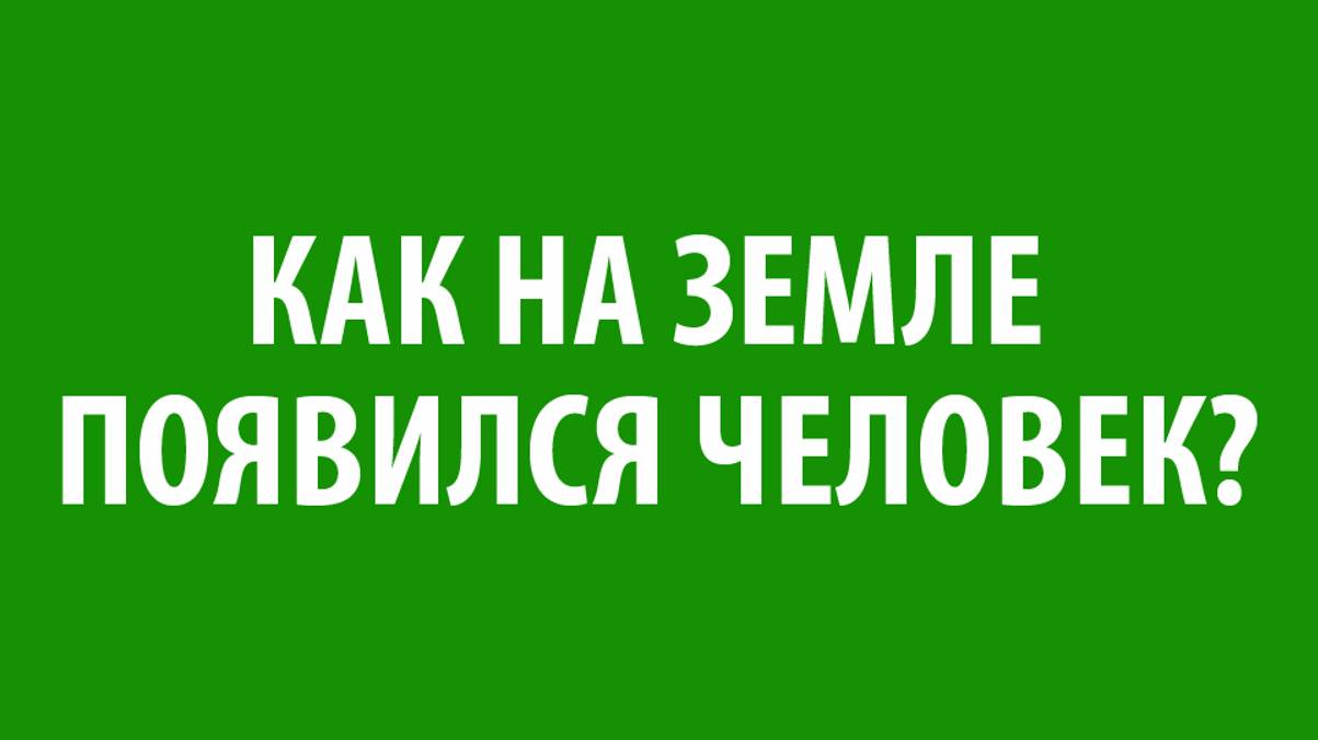 Беседа 4 "В Начале всех Начал" (Эпизод 8)