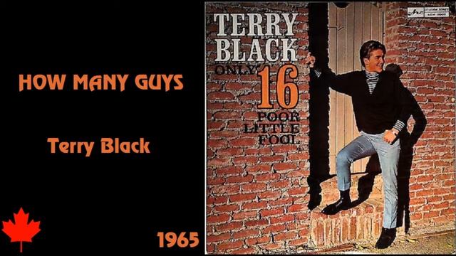Terry Black  -  Only 16 - Poor Little Fool 1965 LP - How Many Guys