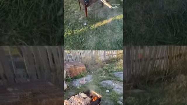 Готовим шашлык из куриных крылышек