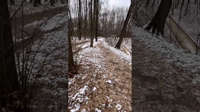 Странные реакции #земнойирий #оважном