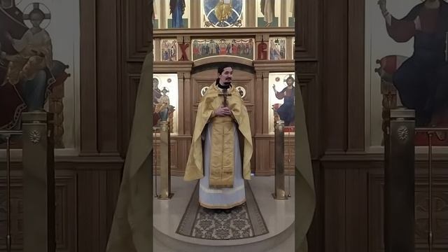 Исцеление слепого. О слепоте гордости. Проповедь о. Вячеслава. 27.12.24