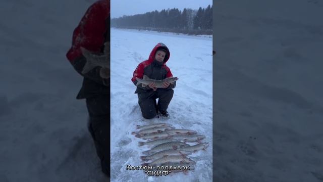 Щука на Жерлицы!