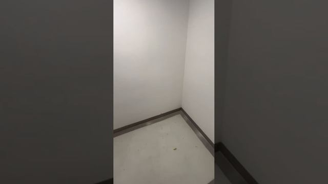 Кладовая.mp4