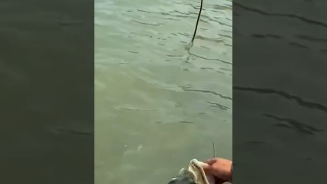 Приснится же такое 😁