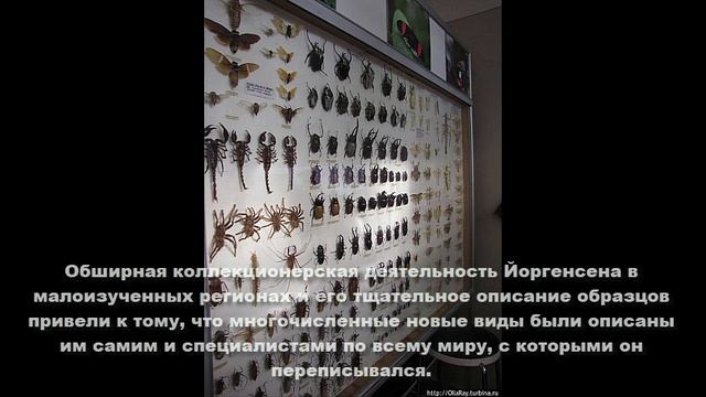 Питер Йоргенсен