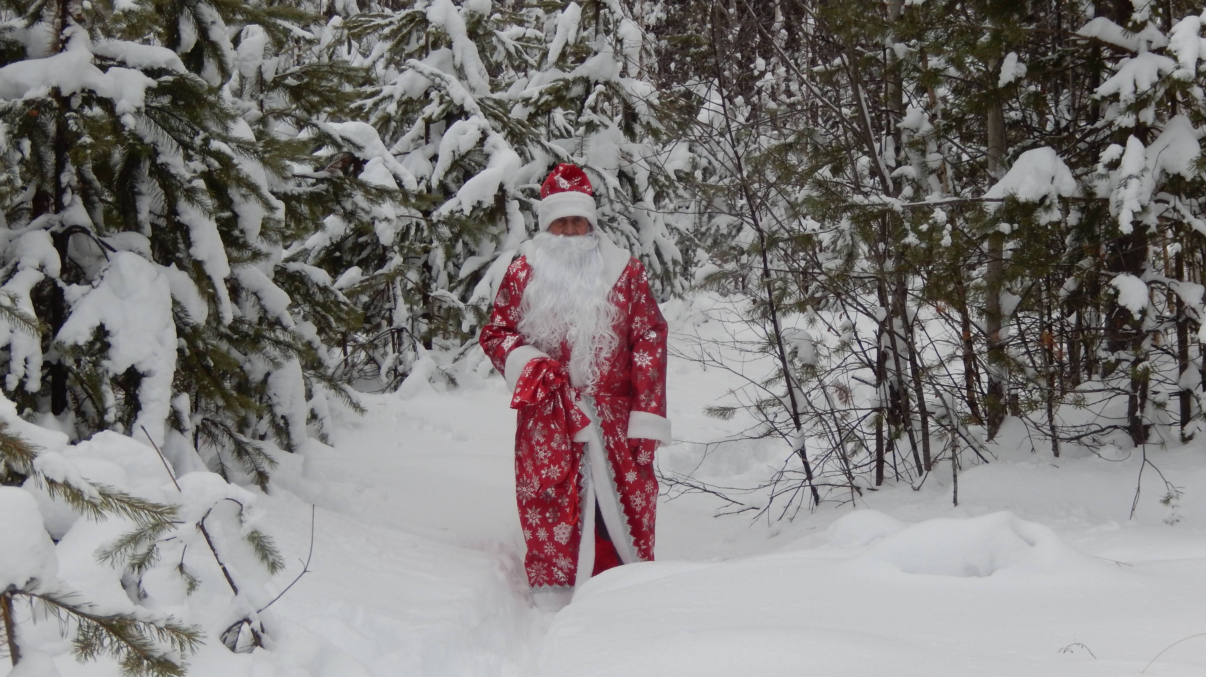 Наша северная городская елочка возле Газпром трансгаз Югорск. Всех с наступающим Новым годом. Мирно