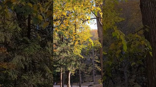 Осень в Кисловодске навсегда останется в вашем сердце