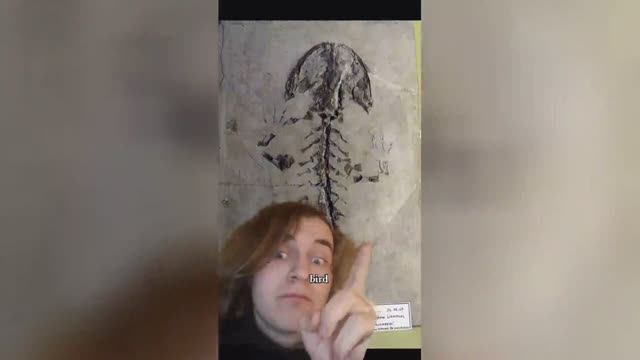 Best video of Tik Tok! 26.12.24 / 12