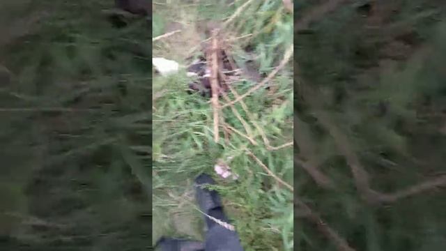 Не особо приятная находка #питбайк #эндуро #альфа