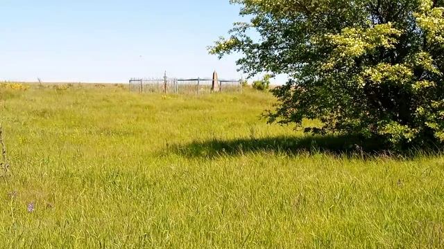 Старое кладбище у деревни Фоминка