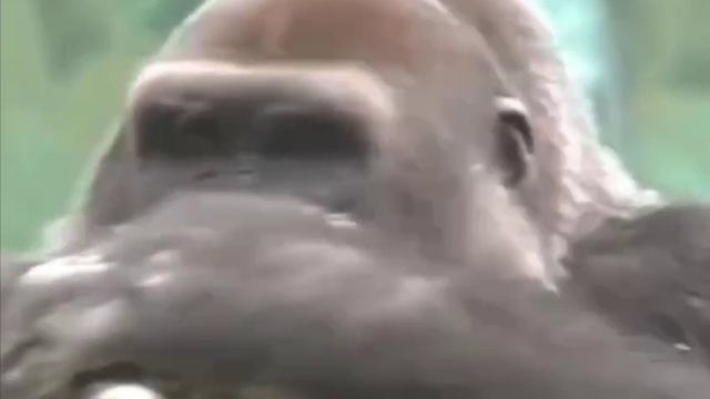 1000026704.mp4