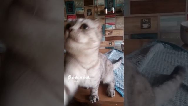 29 ноября 2024 г. (3).mp4