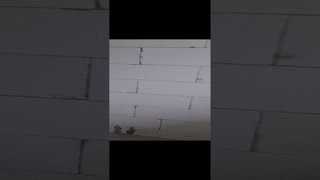 1000220509.mp4