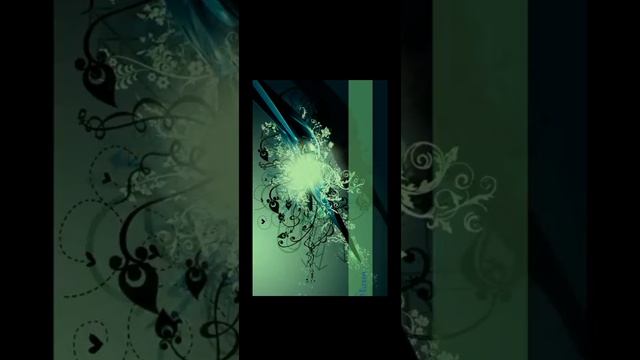 1000007395.mp4