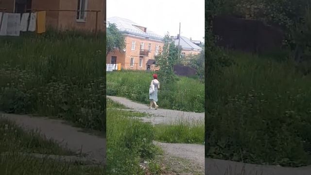 16 июня 2022 г.