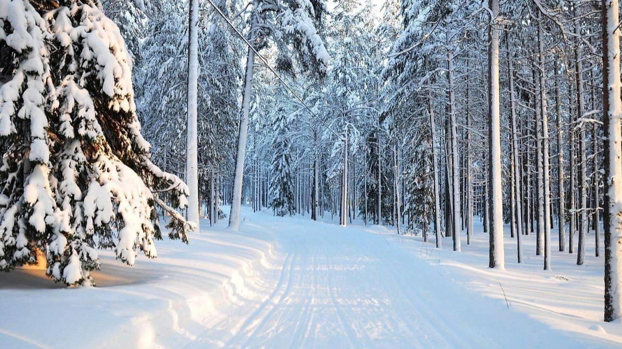 Воскресное собрание 27.12.2024