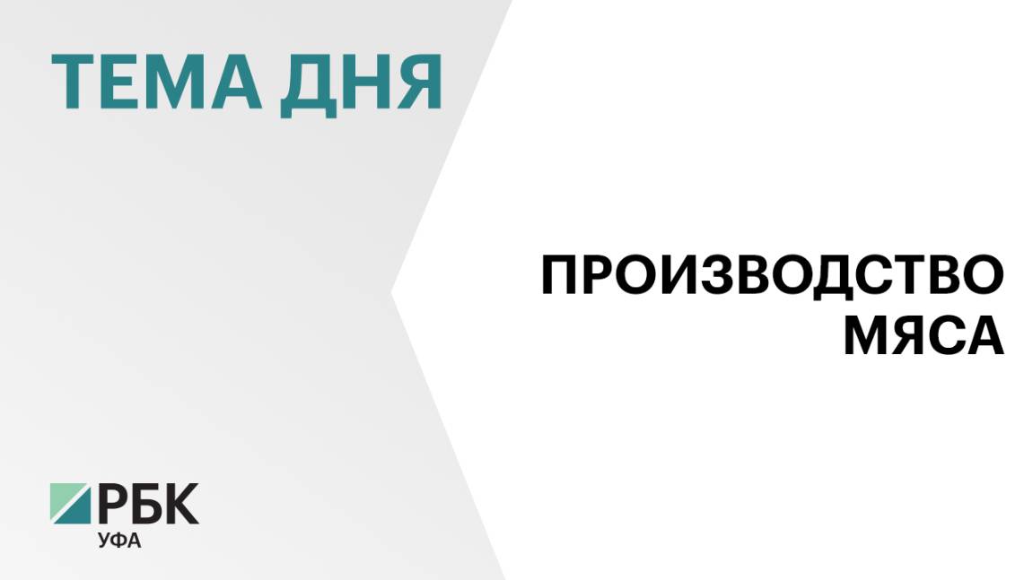 В Башкортостане на 3,6% выросло производство мяса, 380 тыс. тонн