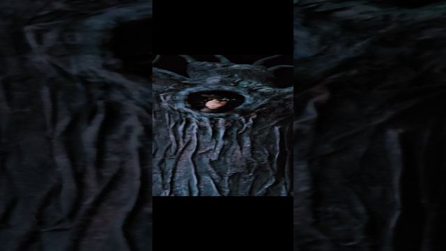 1000059638.mp4