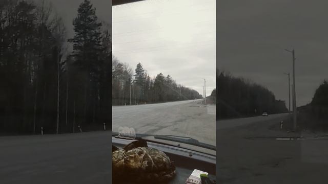 17 апреля 2023 г.
