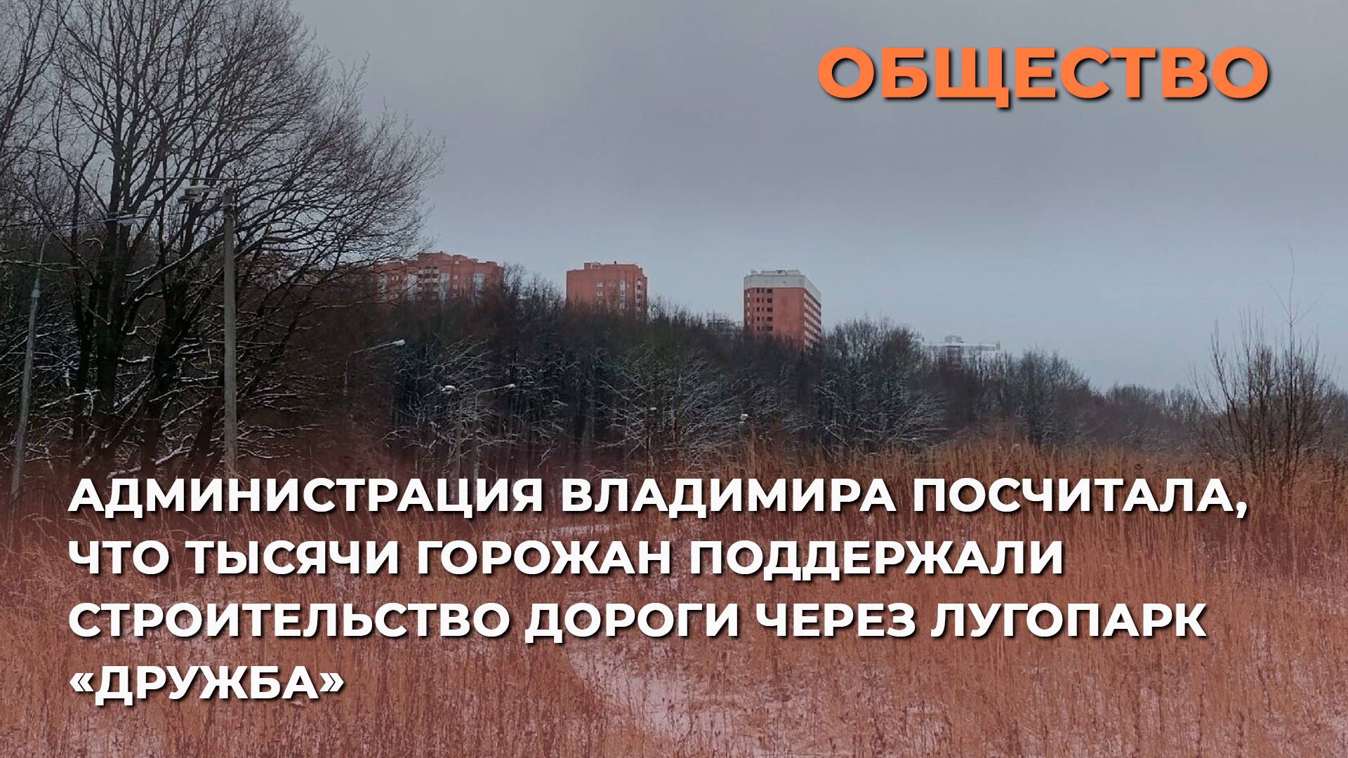 Администрация Владимира посчитала, что тысячи горожан поддержали строительство дороги через «Дружбу»