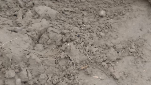 Просто видео на улице.🙂