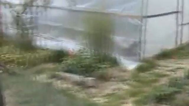 дача 02 июня 2002 года