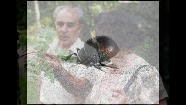 Андрей Львович Лобанов