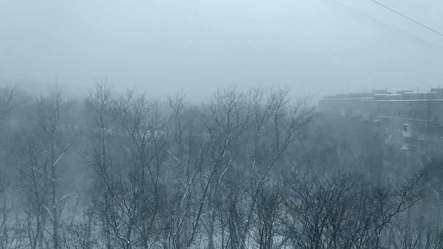 several "snow" songs