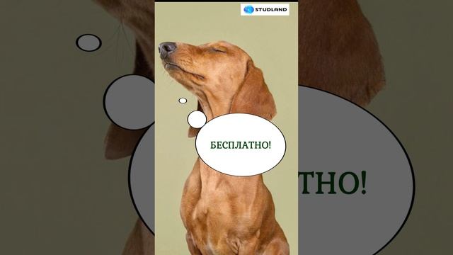 Запись открыта