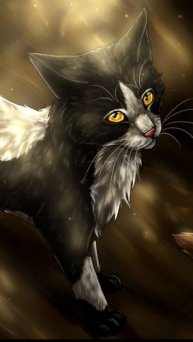 Чипи коты воители сборник сшортс