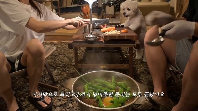 32시간동안 멈추지 않고 비 내리는 날직접만든 주말 별장에서 강아지와 장박 우중캠핑 텐트가 뚫릴 듯한 빗소리