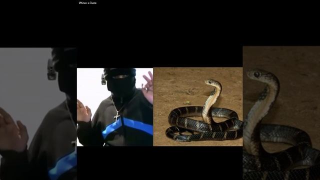 Видео-27-12-2024 032044