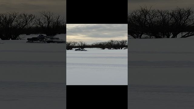 1000164245.mp4