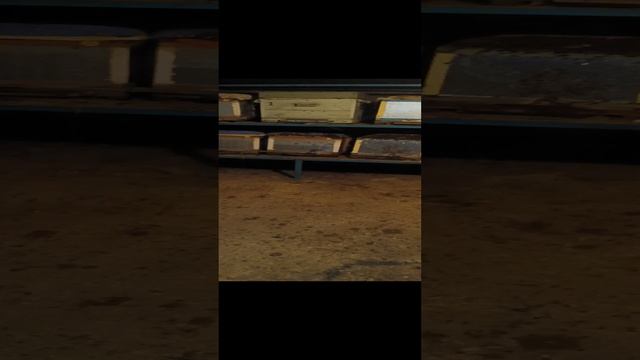 омшанник в подвале ,оцените пожалуста