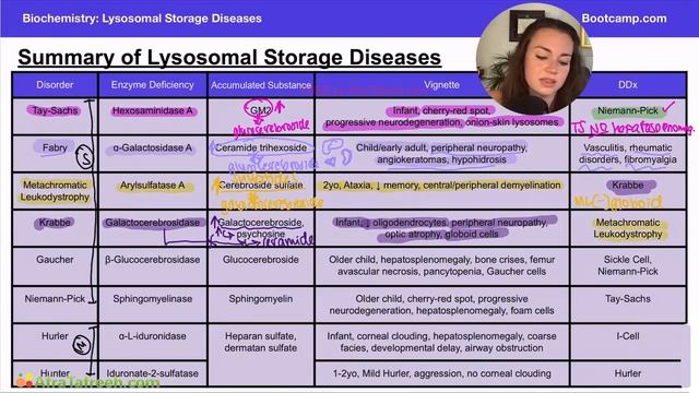 Summary of Lysosomal Storage Diseases atf