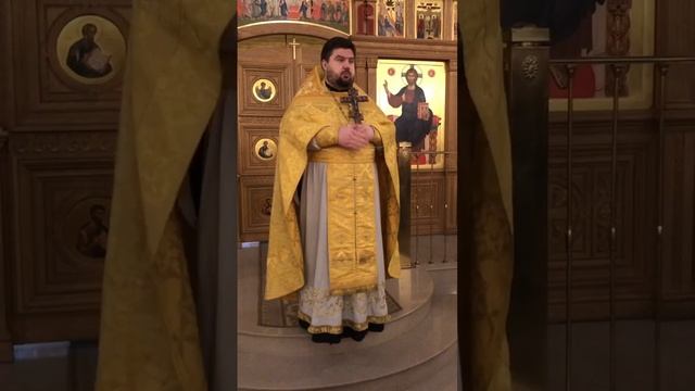 Память свт. Спиридона Тримифунтского. О чудесной помощи святителя. Проповедь о. Николая. 25.12.24