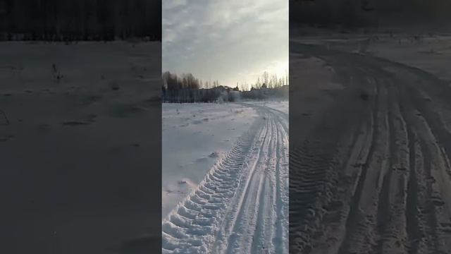 24.12.241415 Прогулка на природе