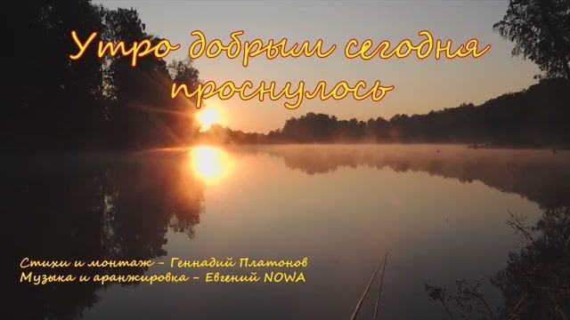 Утро добрым сегодня проснулось
