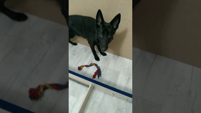 Кровать Relax